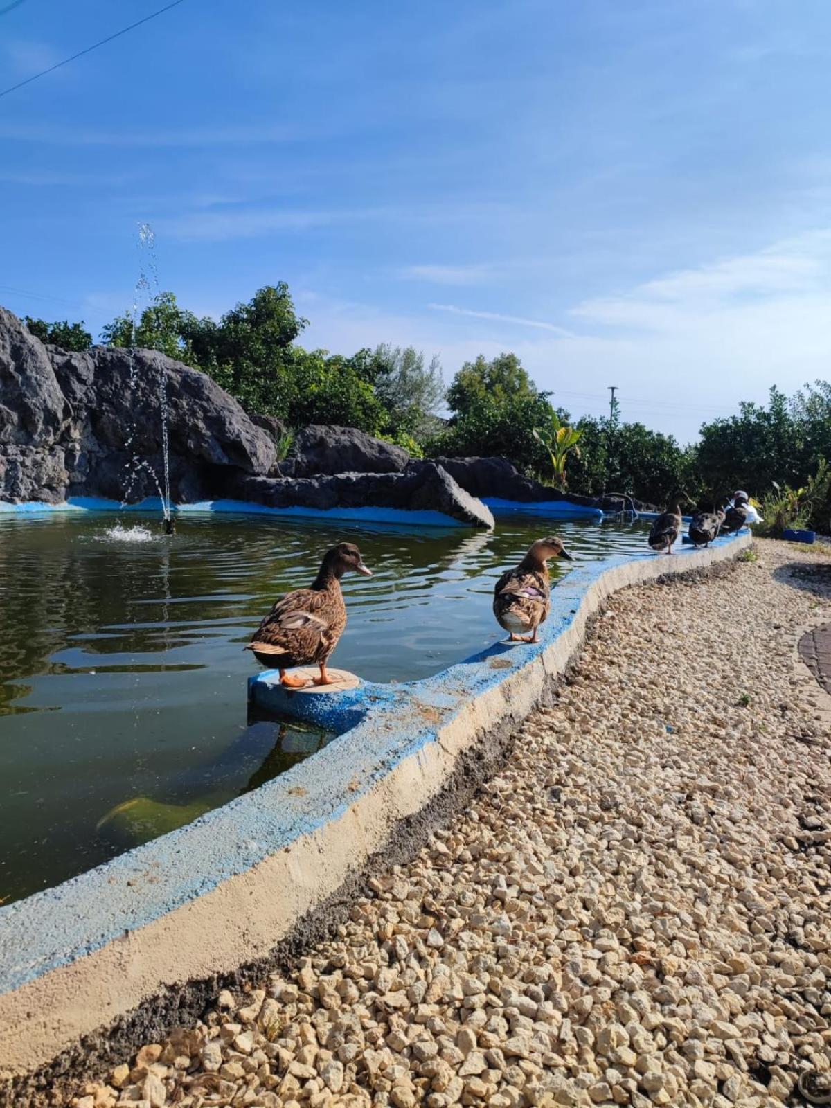 טראפיטלו Don Vittorio Country Village מראה חיצוני תמונה